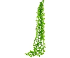 Dirbtinis vijoklis Buksmedis, 120 cm