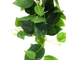 Dirbtinis vijoklis Skindapas, 100 cm