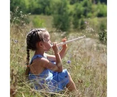 Fleita 8 skylių