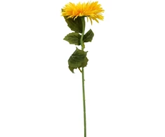Geltonas dirbtinis astro žiedas ant koto, 50 cm