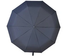 Juodas automatinis skėtis