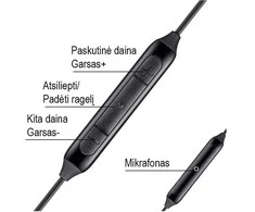 Laidinės Type-C ausinės