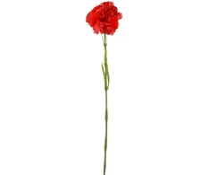 Raudonas dirbtinis gvazdiko žiedas ant koto, 58 cm