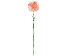 Rožinis dirbtinis gvazdiko žiedas ant koto, 58 cm