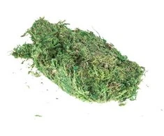 Stabilizuota samana, 750 g