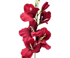 Tamsiai raudona dirbtinė gėlė kardelis, 50 cm