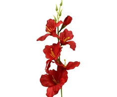 Tamsiai raudonas dirbtinis kardelis ant koto, 57 cm
