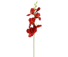 Tamsiai raudonas dirbtinis kardelis ant koto, 57 cm