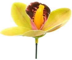 Žalsvas lateksinis orchidėjos žiedas