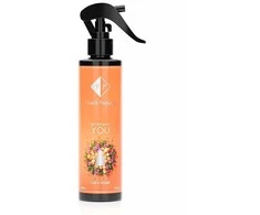 Automobilio ir namų kvepalai Nr435 - BETTER WITH YOU 150 ML