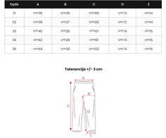Vyriški mėlyni džinsai Styvin