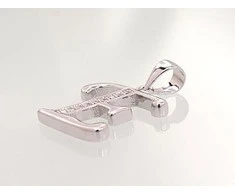 Sidabrinis Pakabukas - Vardo Raidė. Metalas: Sidabras. Praba: 925°. Akmuo: Cirkonai - 1.8 g. - 22 mm.