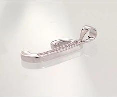 Sidabrinis Pakabukas - Vardo Raidė. Metalas: Sidabras. Praba: 925°. Akmuo: Cirkonai - 1.5 g. - 25 mm.