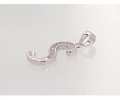 Sidabrinis Pakabukas - Vardo Raidė. Metalas: Sidabras. Praba: 925°. Akmuo: Cirkonai - 1.5 g. - 25 mm.