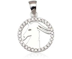 Sidabrinis pakabukas Zodiakas. Metalas: Sidabras. Praba: 925°. Akmuo: Cirkonai - 2.4 g. - 24 mm.