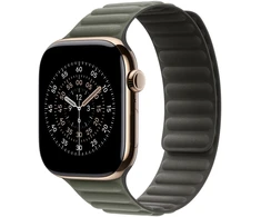 Apple Watch 46mm Sage Gray Magnetic Link - M/L - MGDL4ZM/A