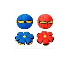 Magy Kamuolys diskas