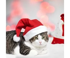 Magy Santa kalėdų senelio kepurė