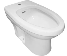 Bidė pastatoma T01