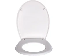 Klozeto dangtis DU02 lėtas