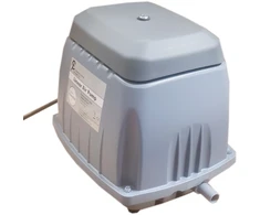 Orapūtė ENV 200