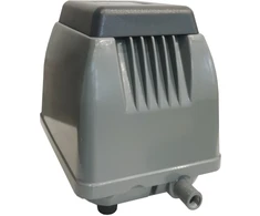 Orapūtė ET30
