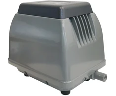 Orapūtė ET40