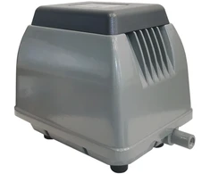 Orapūtė ET60