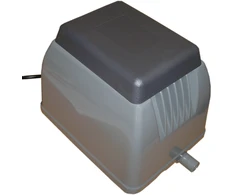 Orapūtė ET80