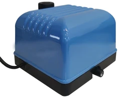 Orapūtė V10
