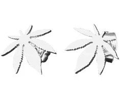 Auskarai moterims F58