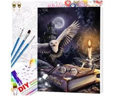 Tapyba pagal numerius su rėmu 40 x 50 cm „Magiška pelėda“ TP27