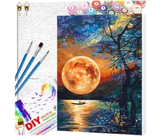 Tapyba pagal numerius su rėmu 40 x 50 cm TP5