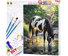 Tapyba pagal numerius su rėmu 40 x 50 cm „Žirgas prie upelio“ TP57