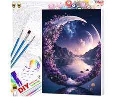 Tapyba pagal numerius su rėmu 40x50 cm „Magiškas Mėnulis“ TP55