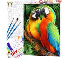 Tapyba pagal numerius su rėmu 40x50 cm „Papūgos“ TP28