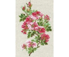 RIOLIS siuvinėjimo rinkinys 8.25"X11.75"-May Wild Rose (15 Count) -R809