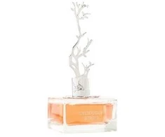 Aurora Scents Deciduous Spring - EDP 100 ml + EDP 9 ml
