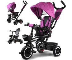 Triratis dviratukas Tiny Bike 3W1 Z Daszkiem
