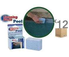 Polydros Cleaning Block POOL valymo blokelis baseinų ir SPA plytelėms (12vnt.)
