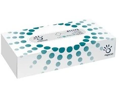 Veido servetėlės PAPERNET FACIAL TISSUE, 40dėžučių