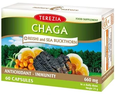 TEREZIA CHAGA IR REISHI GRYBAI SU ŠALTALANKIŲ ALIEJUMI