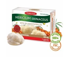 TEREZIA HERICIUM ERINACEUS GRYBAS SU ŠALTALANKIŲ ALIEJUMI 60 KAPSULIŲ