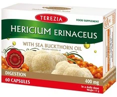 TEREZIA HERICIUM ERINACEUS GRYBAS SU ŠALTALANKIŲ ALIEJUMI 60 KAPSULIŲ