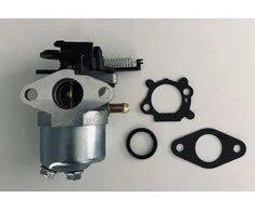 Briggs &amp; Stratton Karbiuratorius BRIGGS&amp;STRATTON SERIA 700, 750 DOV