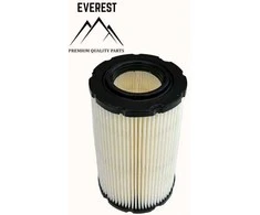 Briggs &amp; Stratton ORO FILTRAS BRIGGS&amp;STRATTON 1 VALEC NAUJO MODELIO 15KM-19KM