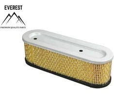 Briggs &amp; Stratton ORO FILTRAS BRIGGS&amp;STRATTON 10AG-12AG EVEREST
