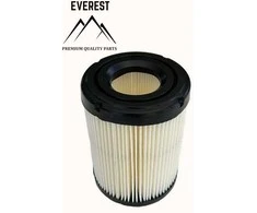 Briggs &amp; Stratton ORO FILTRAS BRIGGS&amp;STRATTON 1 VALEC NAUJO MODELIO 10KM-14KM