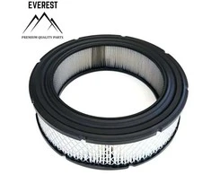 Briggs &amp; Stratton ORO FILTRAS BRIGGS&amp;STRATTON VANGUARD 692519