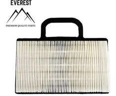 Briggs &amp; Stratton ORO FILTRAS BRIGGS&amp;STRATTON INTEK 2 CILINDRŲ EVEREST